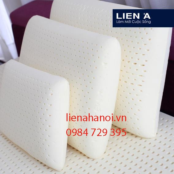 gối cao su liên á oval lagov4565 tại Minh Phong